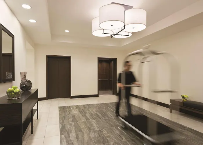 Hotel Hyatt Place Chicago O'hare Airport 3*