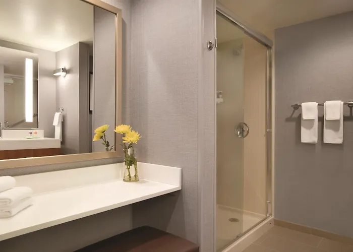 Hyatt Place Chicago O'hare Airport Hotel Rosemont
